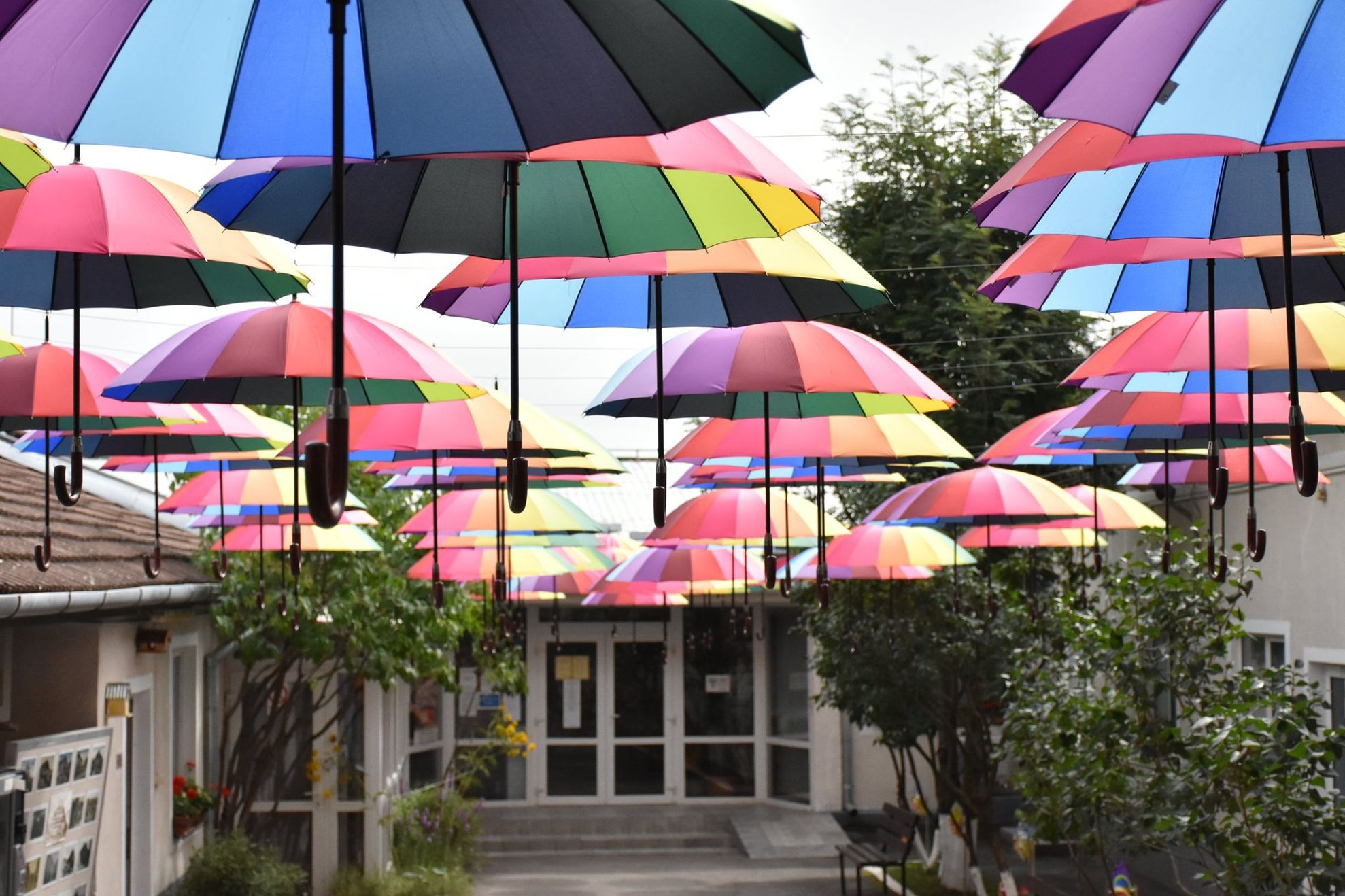 67389102_2449407175122451_13435048543911936_o