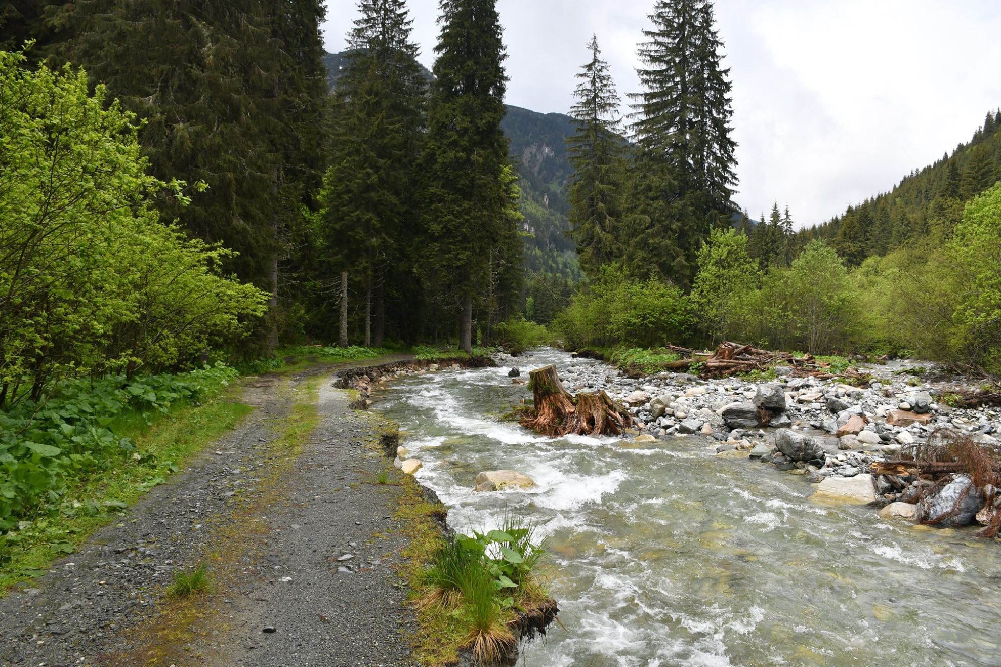 67533997_1300924430083616_6587977664487751680_o