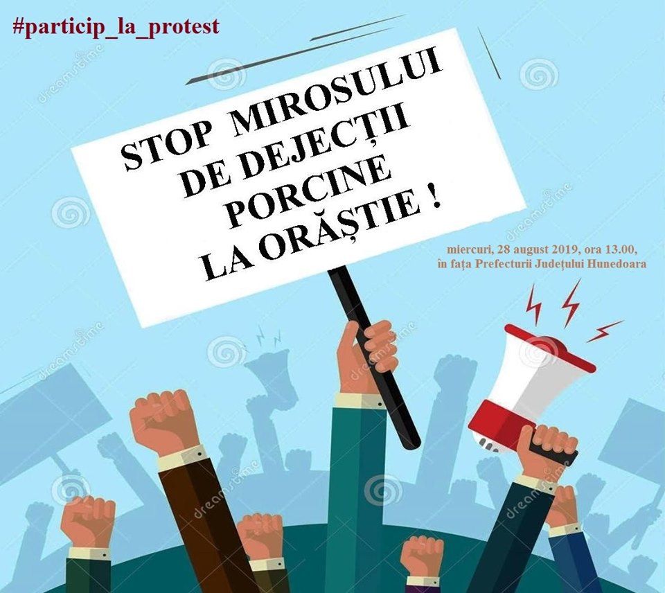 69517402_117392686294547_2480662639315779584_n