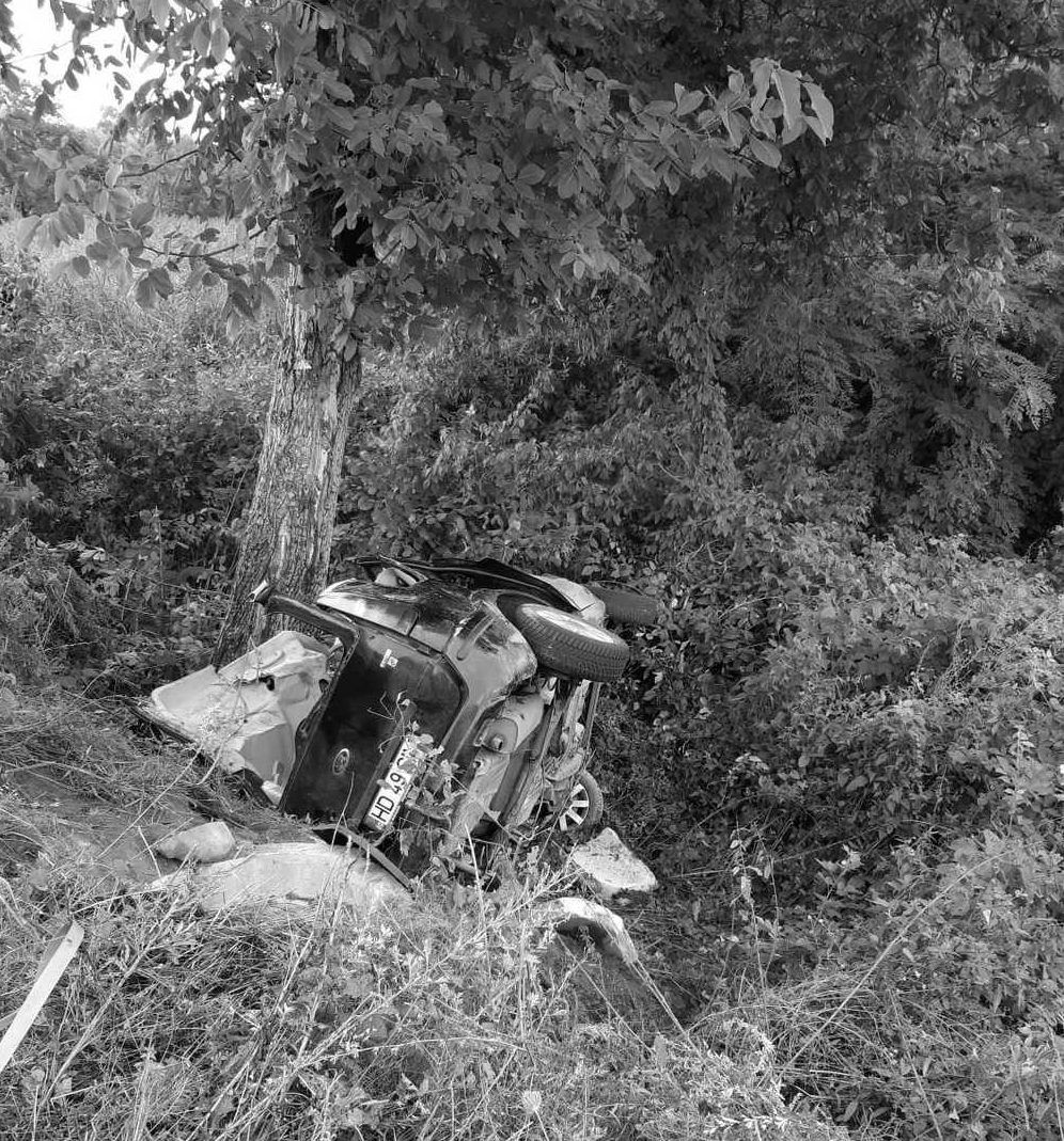 imageedit_2_6477588225