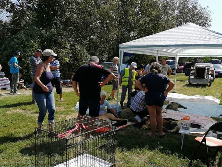 69228518_1354974234651805_5847217211768307712_n