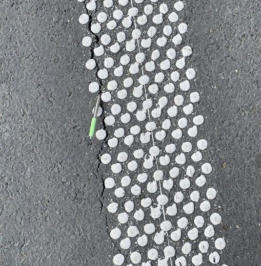 69812068_1339230692917601_5890992579306061824_n