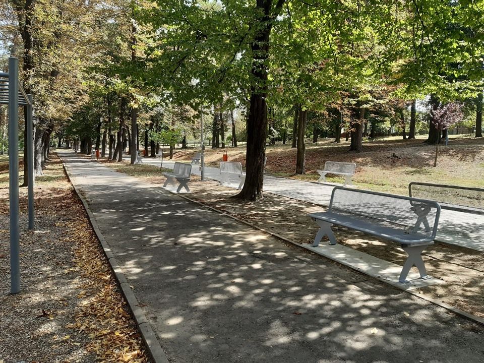 70142128_2388459914603938_1849049481819979776_n (1)