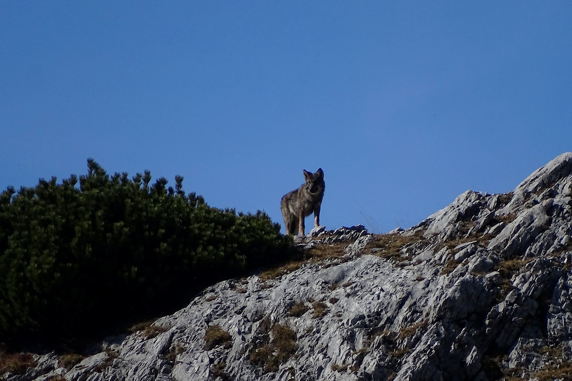 72294118_1373106922848059_527499134446338048_o