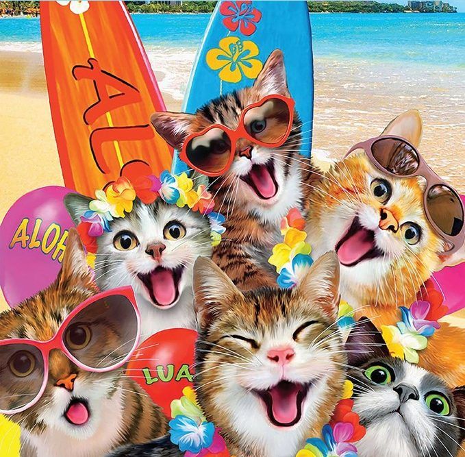 72556357_2434149736907802_8123987535815770112_n