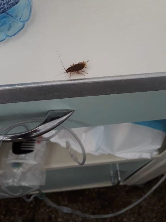 73417757_438492690205635_6095656584233353216_n