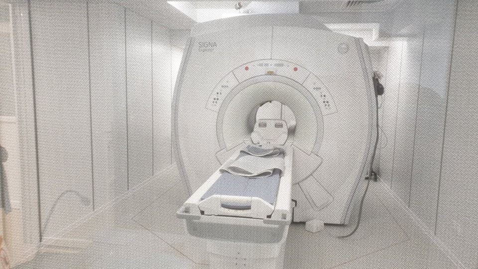 73714284_2536288599792993_715773213459611648_n