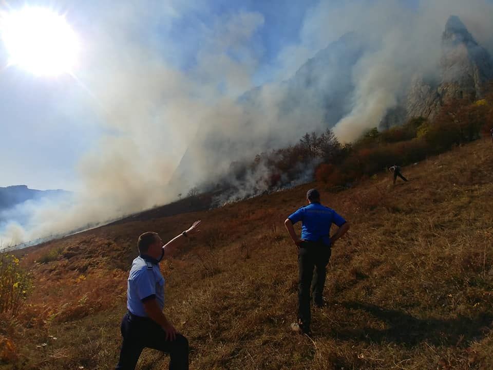 74880681_968797610150037_4214943357966745600_n