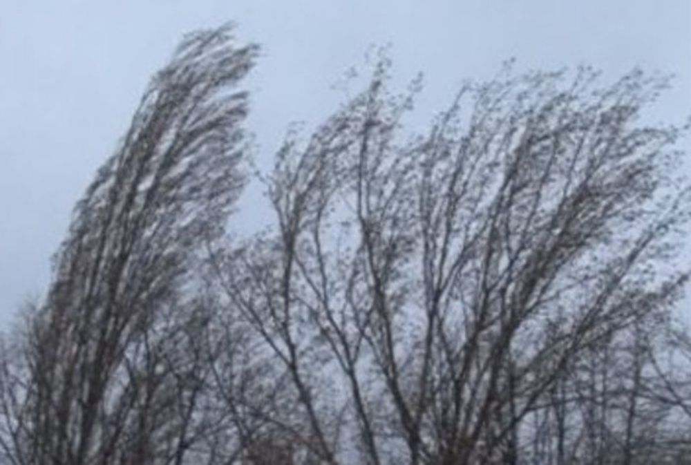 Zona de munte a județului Hunedoara, sub cod galben de intensificări ale vântului