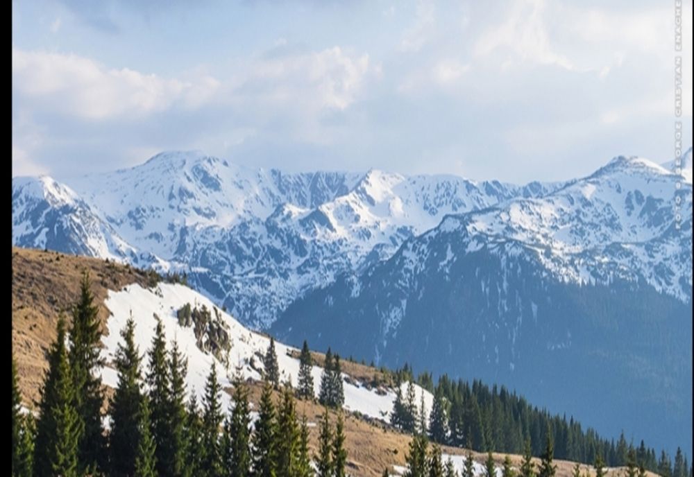 Cod portocaliu sus, sus, sus, la munte... sus