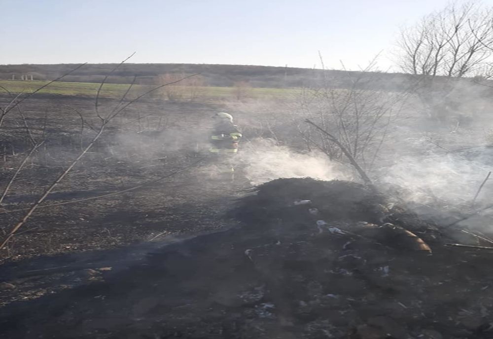 Pompierii hunedoreni au luptat, într-un interval de 8 ore, cu 13 incendii de vegetaţie uscată