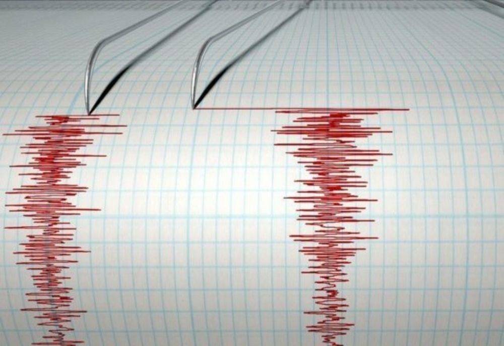 CUTREMUR de 4,8 grade, cu puțin timp în urmă, în zona seismică Vrancea