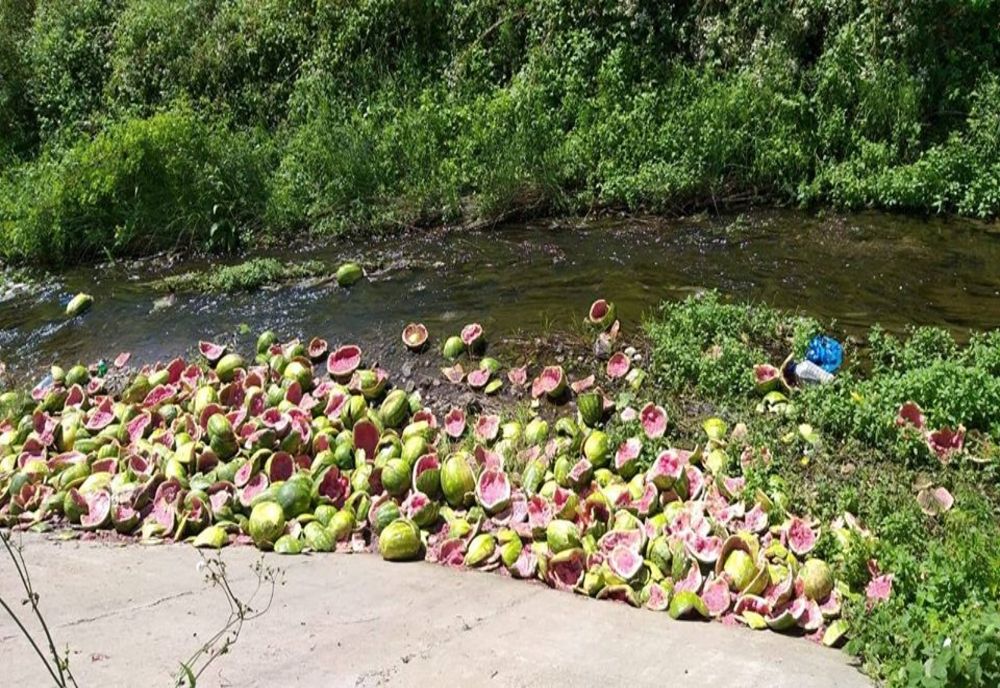 Sute de pepeni împraștiați pe un drum național