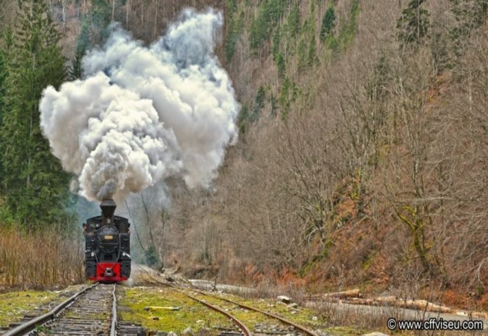 Mocănița de la Crișcior pornește la drum de sărbători