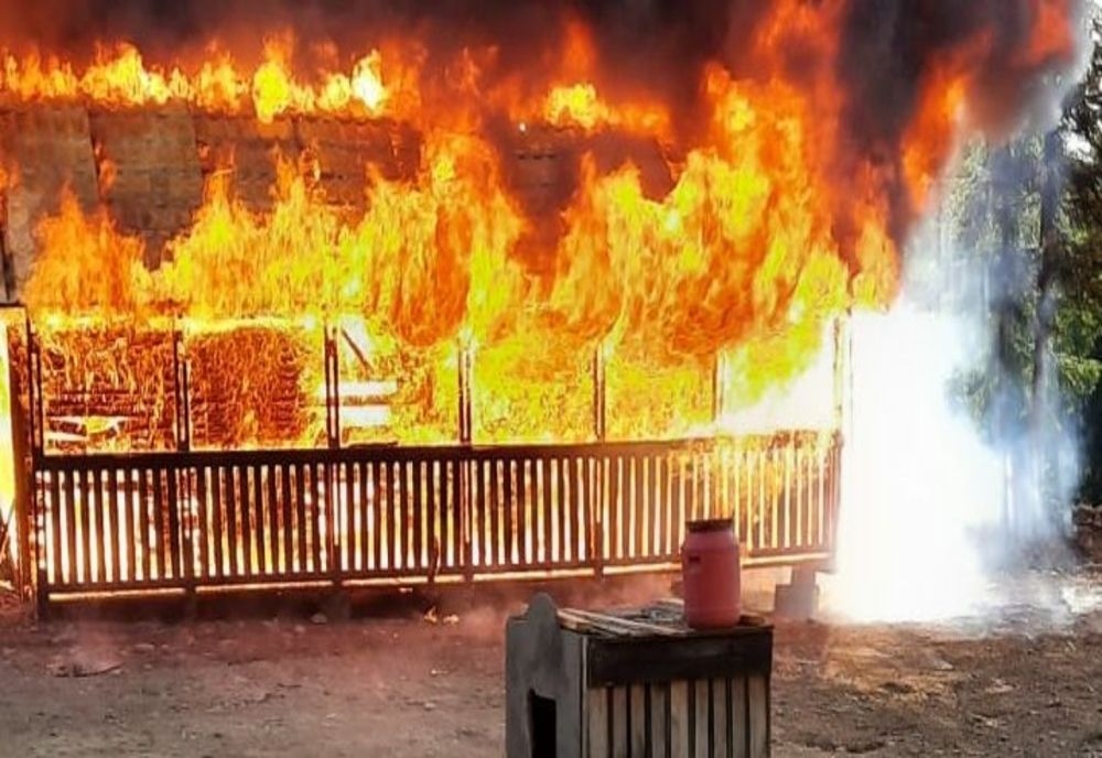 A vrut să o înfrumusețeze și a reușit să-i dea foc