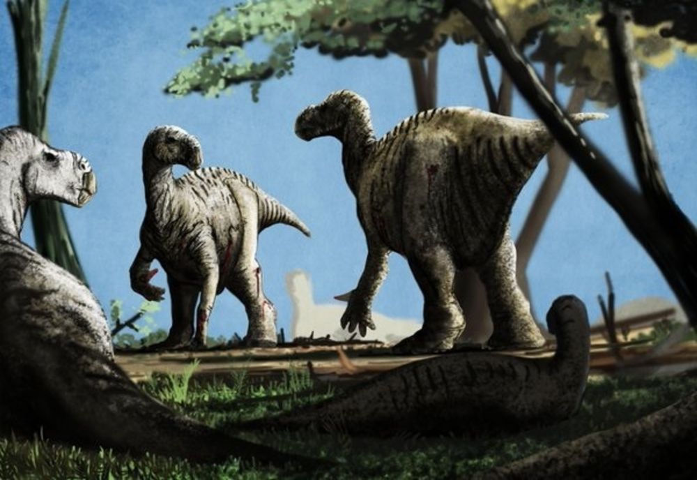 Festivalul dinozaurilor: muzică, distracție și surprize