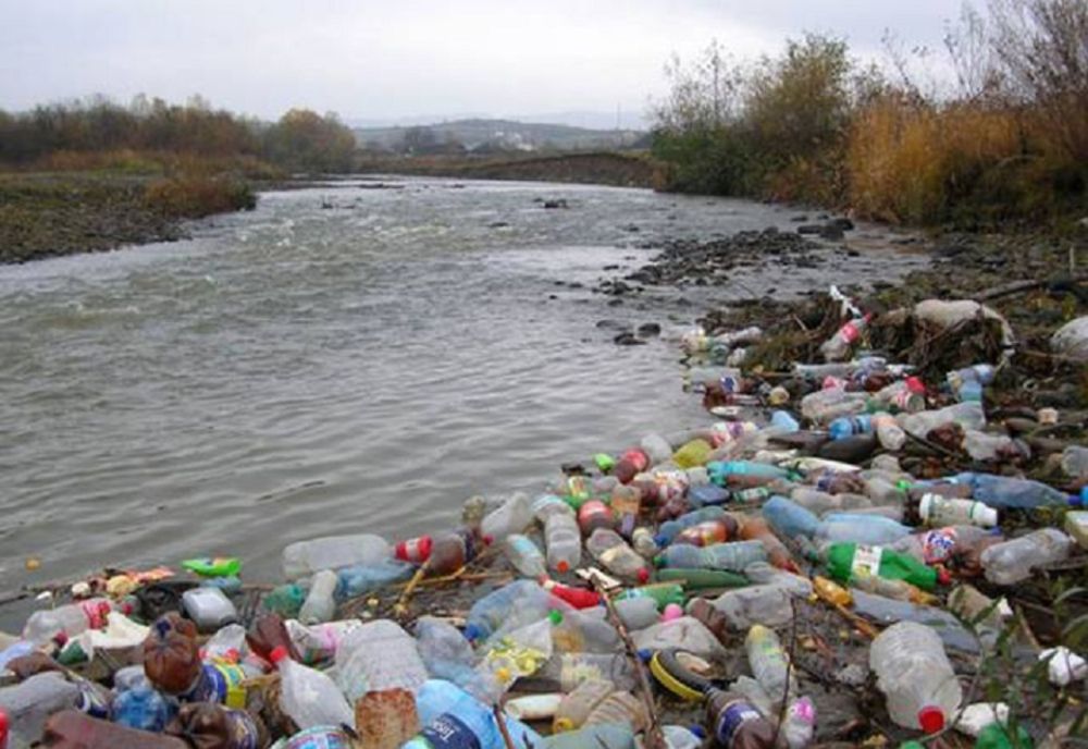 Sute de kilograme de gunoaie adunate de pe malul Crișului Alb