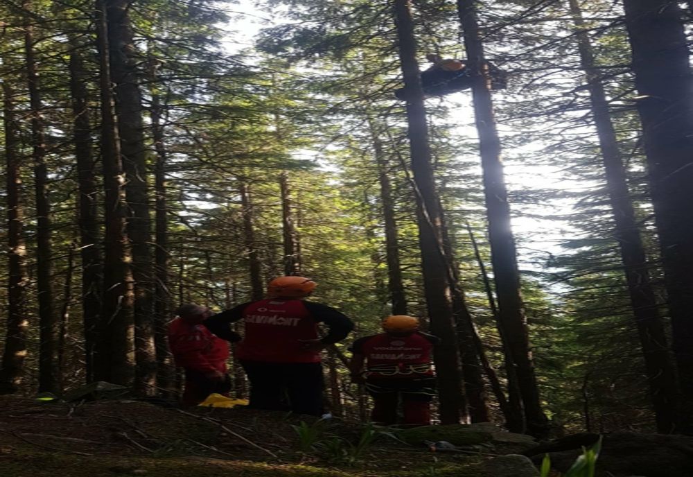 Parapantist eșuat într-un copac și un turist mușcat de o viperă