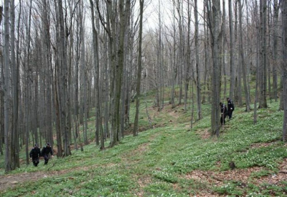 Un bărbat care s-a rătăcit pe munte a supravieţuit opt zile doar cu fructe de pădure şi apă