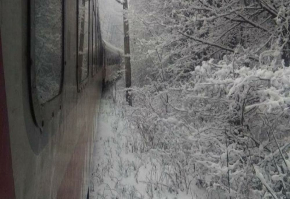 Circulaţia feroviară între Petroşani și Crivadia a fost reluată