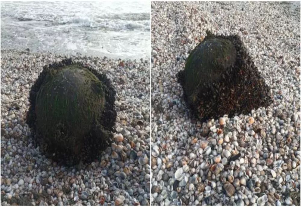 Alertă la Marea Neagră. O mină a fost găsită pe plaja de la Midia