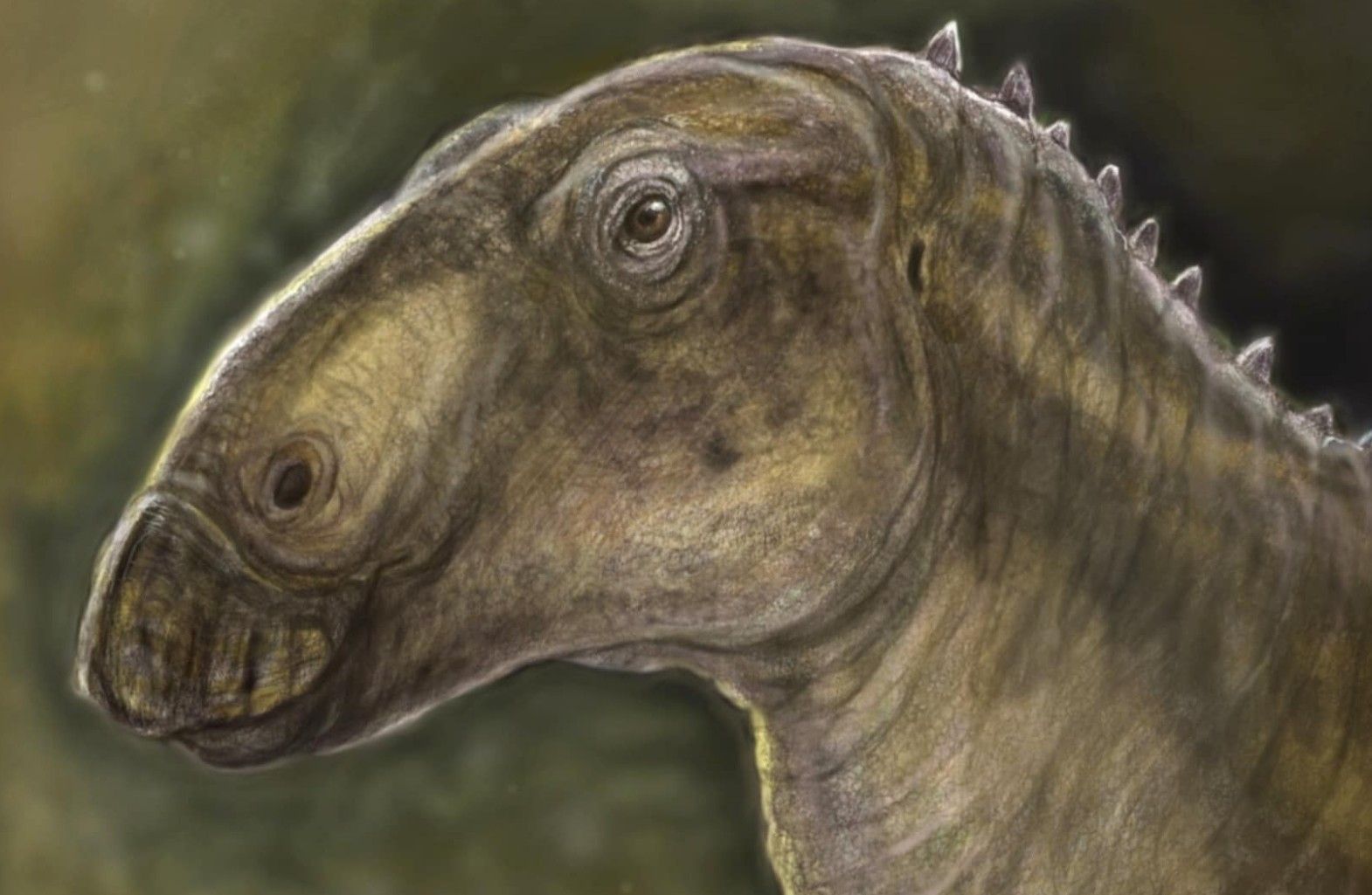 Descoperire arheologică în România. O noua specie de dinozaur descoperită în Geoparcul Țara Hațegului
