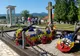Serbările Naţionale de la Ţebea| „Crăişorul Munţilor”, comemorat, duminică, pentru a 146-a oară