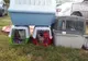 FOTO| Aproape 200 de câini și pisici au fost sterilizați gratuit, la Brănișca