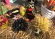 FOTO| Frumusețile toamnei, prin ochii copiilor din Orăștie: oi din conopidă sau arici din struguri