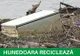 Campanie de colectare deșeuri electrice, electronice și electrocasnice (DEEE) la Orăştie