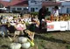 FOTO| “Ziua Porților Deschise” în agricultura hunedoreană. Degustări de produse tradiționale în curtea DAJ