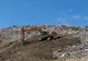 Colectare ecologică la Uricani