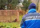 FOTO| Jandarmii hunedoreni au ajutat la capturarea unui urs în Apuseni