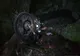 Microbuz școlar implicat într-un accident rutier. Patru copii transportați la spital