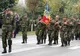 „Ziua Armatei”, marcată la Hunedoara, printr-un ceremonial