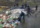 FOTO-VIDEO| Baraj de PET-uri pe Cerna. Jandarmii hunedoreni ecologizează râul