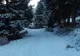 FOTO| Prima zăpadă, din acest an, în stațiunea montană Râușor