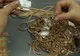 Minoră de 17 ani din Lupeni specializată în furturi