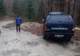 Transport de lemne de foc fără documente, oprit de jandarmi