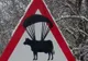 „Vacă paraşutistă”, indicator rutier de tot râsul, întâlnit pe un drum din judeţul Hunedoara