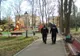 BILANŢ| Poliţiştii locali din Deva au dat, anul trecut, amenzi în valoare de aproape 260.000 de lei