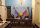 Județul Hunedoara instituie filtre din cauza răspândirii pestei porcine africane