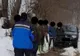 Viceprimar hunedorean, acuzat că a luat parte la o vânătoare ilegală