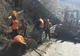 Copacii din Defileul Jiului au fost toaletați