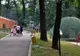 Copii, părinţi şi bunici sunt aşteptaţi, de Florii, la „Zoo” Hunedoara