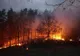 FOTO-VIDEO| Incendiu de pădure, scăpat de sub control. Apelul pompierilor: „Stop arderilor de  vegetaţie uscată!”