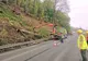 FOTO| Drumarii au curățat DN 7 de copacii care riscau să se prăbușească