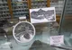 FOTO| Descoperire rară în bazinul Hațeg. Paleontologii au găsit un craniu de crocodil pitic