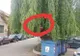 Indicator ascuns sub copac, pe o stradă din Deva.  „Accesul interzis”, invizibil pentru șoferi