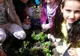 FOTO: Sute de flori au fost plantate de elevii din Petroșani